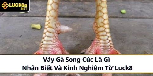 Vảy Gà Song Cúc